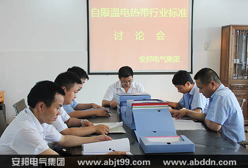 日皮视频免费看集團召開自限溫電日皮视频网站帶國家標準研討會(圖1)