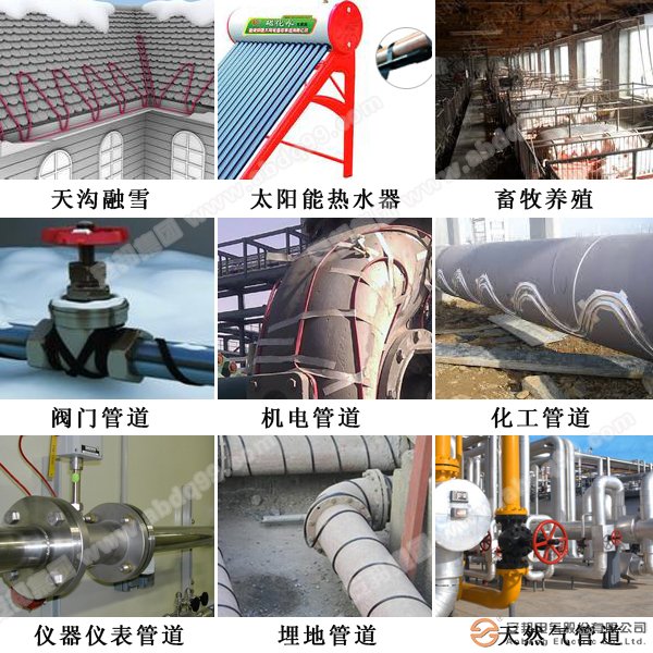 電日皮视频网站帶應用廣泛