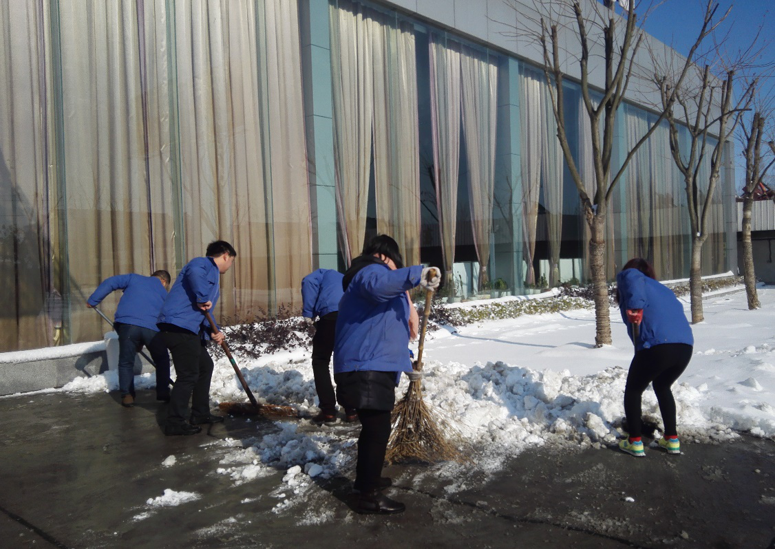 日皮视频免费看電氣組織員工開展義務清雪活動(圖1)