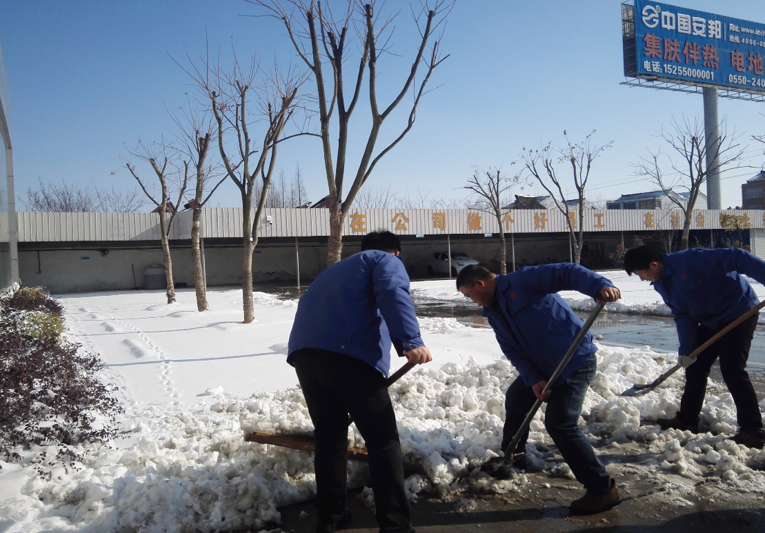 日皮视频免费看電氣組織員工開展義務清雪活動(圖2)