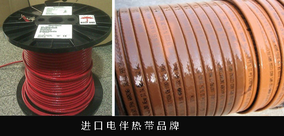 國產電日皮视频网站帶可以替代進口品牌的電日皮视频网站帶嗎(圖1)
