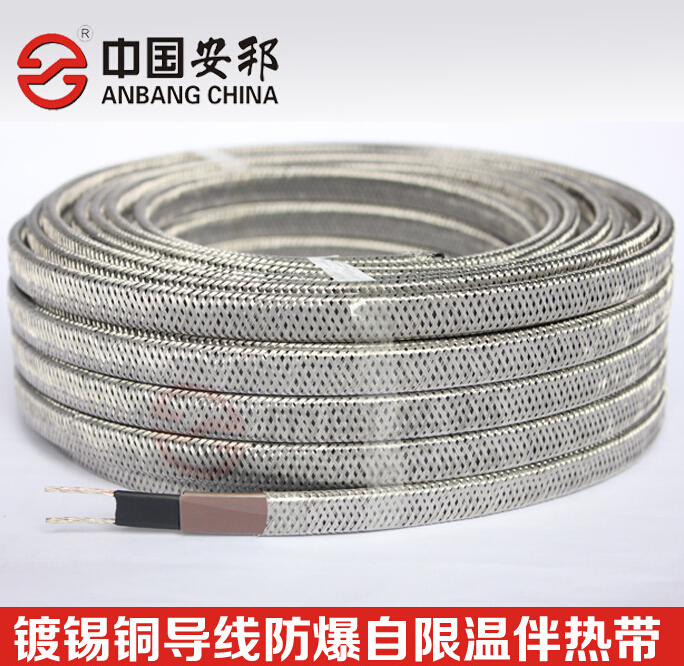 火電廠脫硫優選防爆性能電日皮视频网站帶（ZRDXW-P）(圖1)
