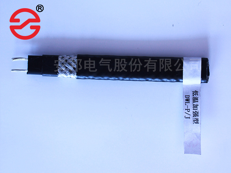電日皮视频网站帶