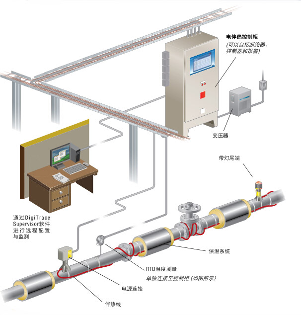 完整電日皮视频网站係統