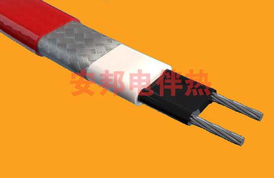 電日皮视频网站