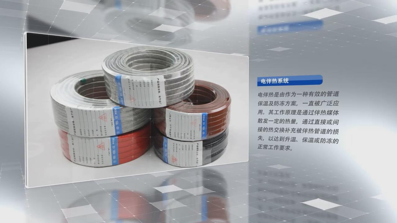 電日皮视频网站帶