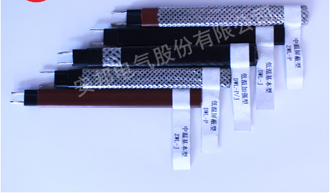 自限溫電日皮视频网站帶近照