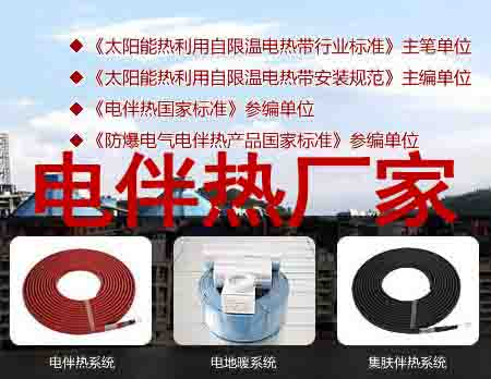 電日皮视频网站廠家