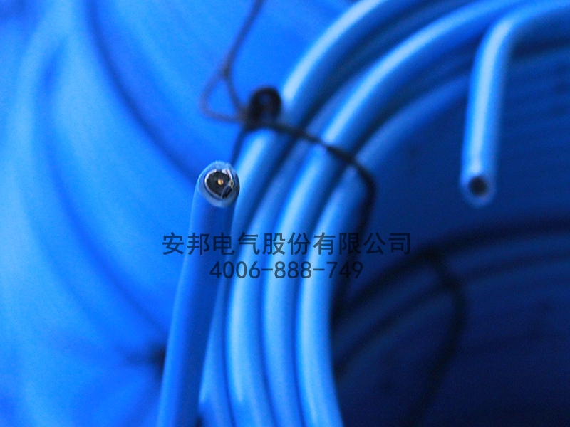 日皮视频网站電纜