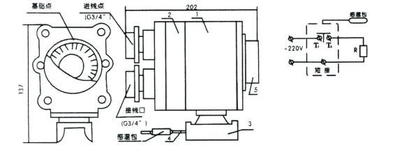 電日皮视频网站BJW51防爆溫度控製器(圖2)