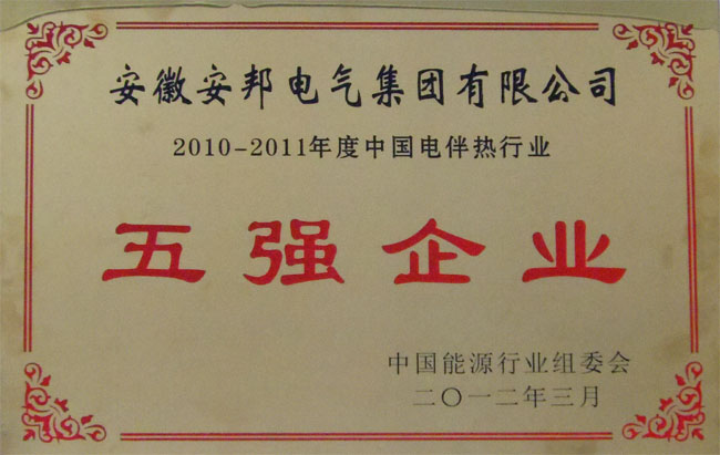 中國電日皮视频网站行業五強企業